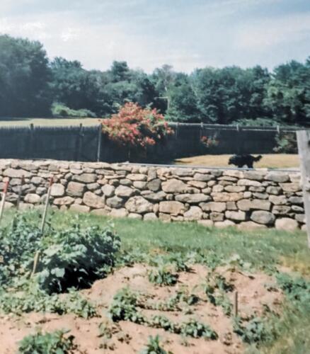 Double-faced Country Dry Laid Wall