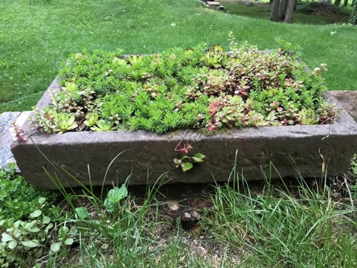 planter